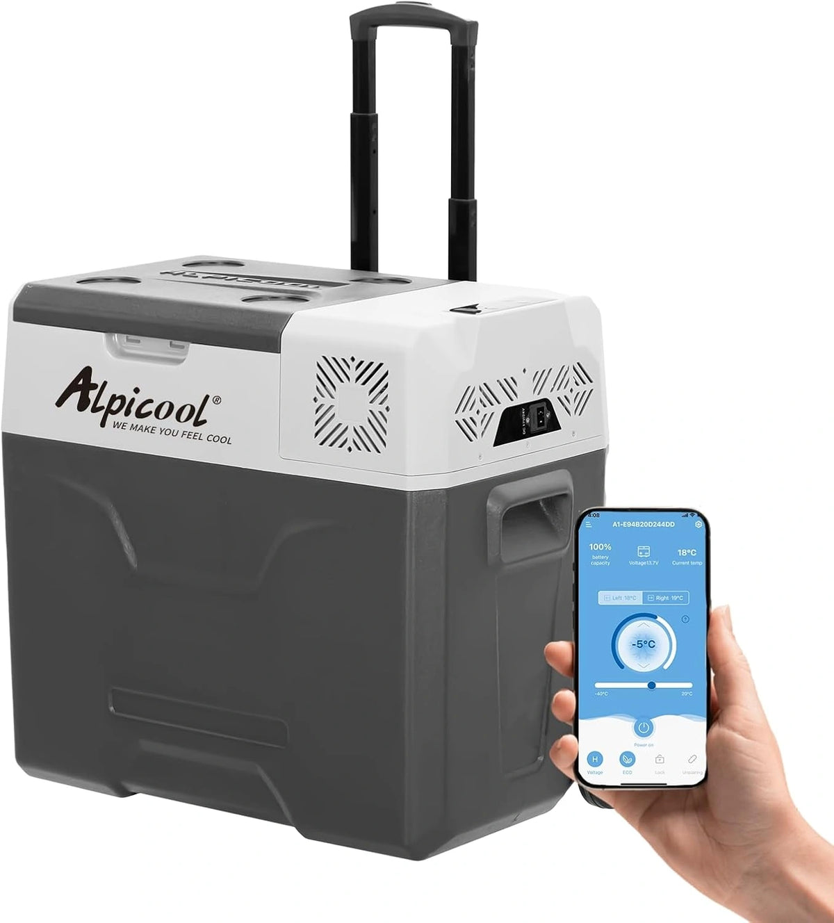Lodówka Alpicool CX50 – pojemność 50 l, napięcie 12 V, do kuchni